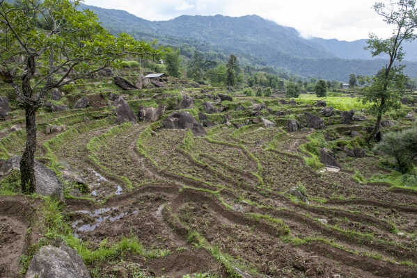 Asar, Ropai, Khandbari