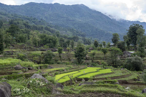 Khandbari, Sankhwasabha, Nepal