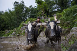 Asar, Ropai, Khandbari, Sankhwasabha, Nepal