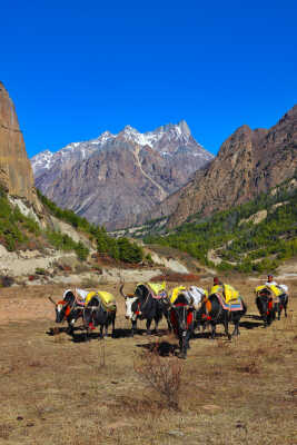 Byans Valley, Darchula (Farwest Nepal)