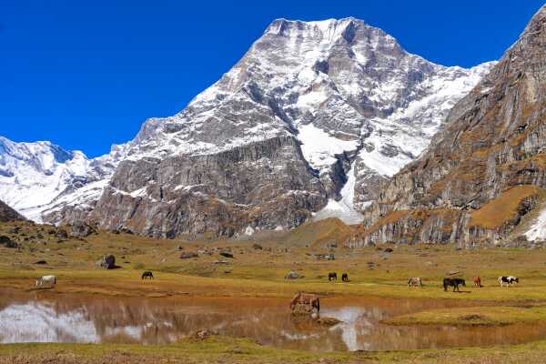 Api Base Camp, Darchula District (Farwest Nepal)