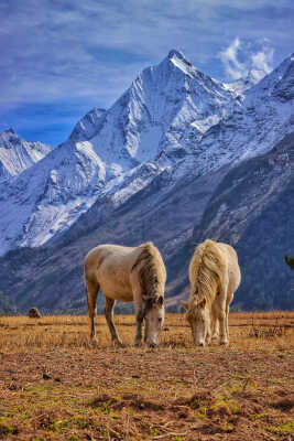 Byans Valley, Darchula (Farwest Nepal)