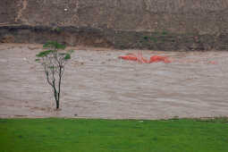 Flood Kathmandu