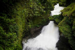 Davis Fall, Pokhara