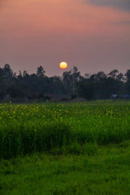 Sunrise View, Butwal