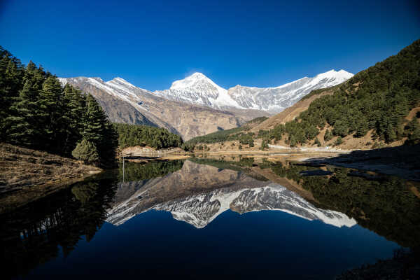 Titi Lake, Mustang