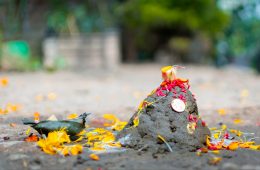 Govardhan Puja (गोवर्धन पूजा)