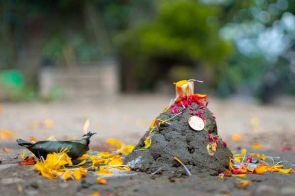 Govardhan Puja (गोवर्धन पूजा)