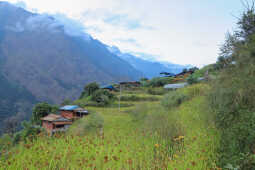 Millets Farm, Tsho Rolpa Lake Trek