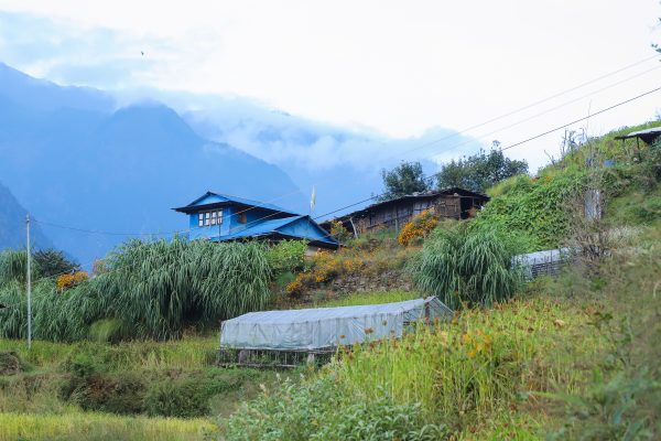 Millets Farm, Tsho Rolpa Lake Trek