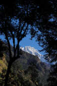 Tsho Rolpa Lake Trek, Nepal