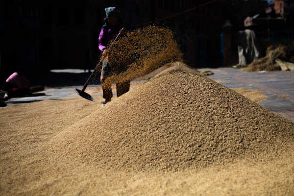 Bhaktapur-Rojan Shrestha (29)