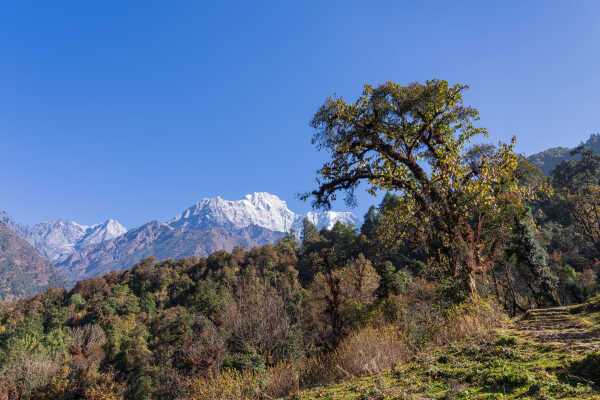 Stunning Gaurishankar Himal view from way to Tsho Rolpa