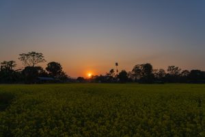 Sunrise, Sunset and silhouette