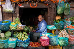 Vegetable seller