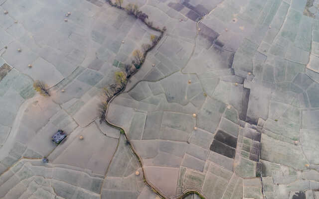 Rice Field Aerial Shot.