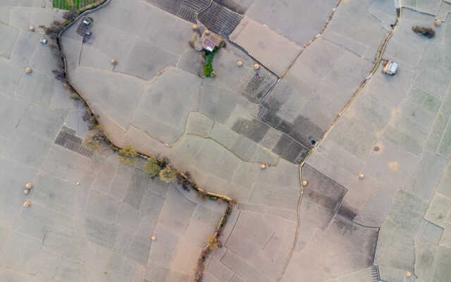 Rice Field Aerial Shot.