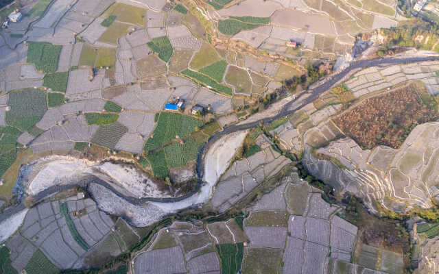 Rice Field Aerial Shot.