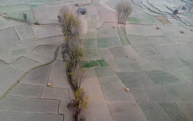 Rice Field Aerial Shot.