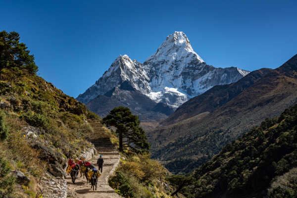 Everest base camp trek