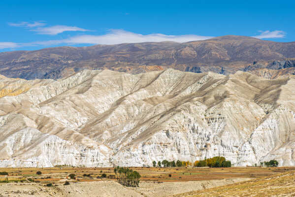 Upper Mustang's unique landscape with horses in farmland