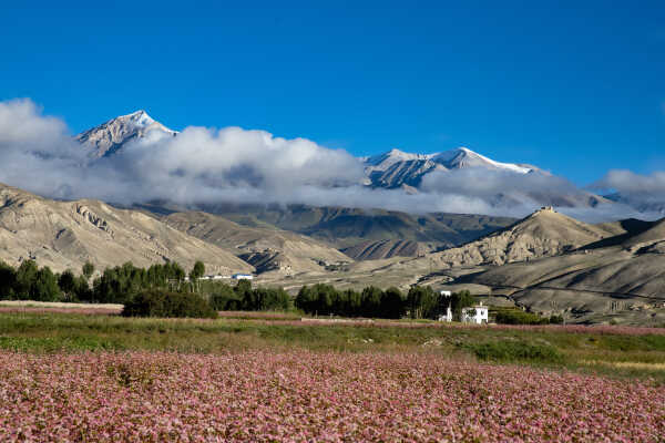 Upper mustang trek