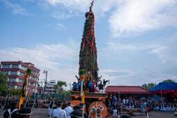 Bhoto Jatra, Rato Machhindranath Jatra.
