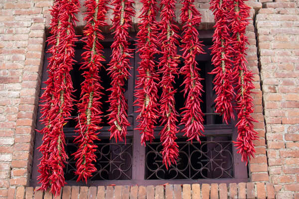 Dry Chillies at Khokna, Lalitpur