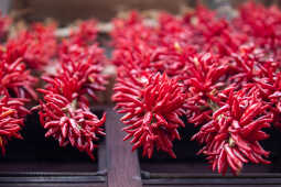 Dry Chillies at Khokna, Lalitpur