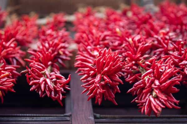 Dry Chillies at Khokna, Lalitpur