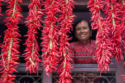 Dry Chillies and a woman
