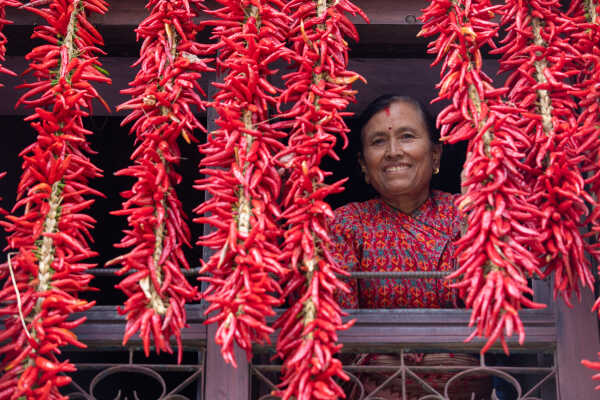 Dry Chillies and a woman