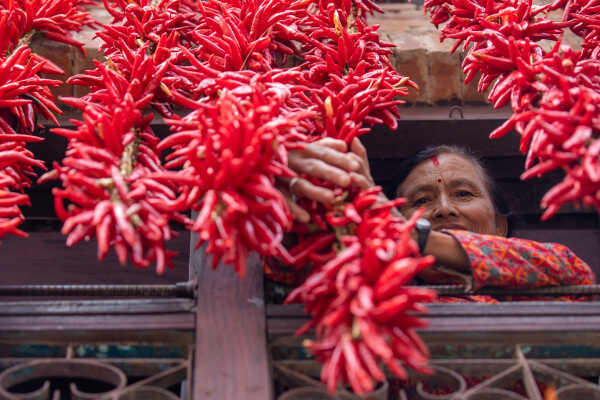 Dry Chillies and a woman