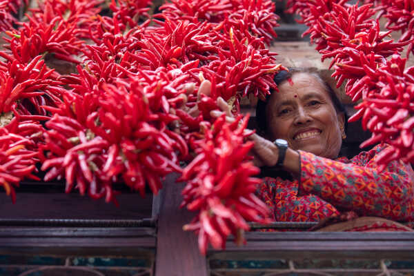 Dry Chillies and a woman