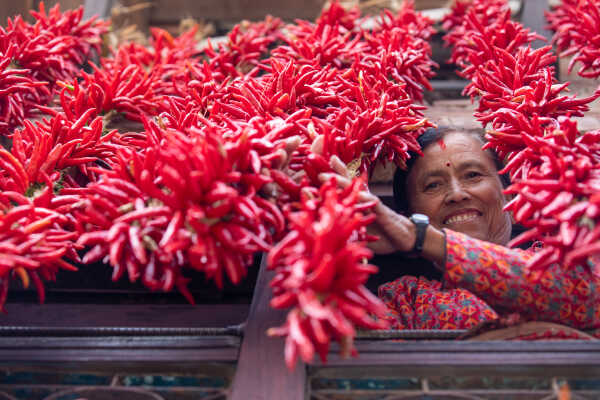 Dry Chillies and a woman