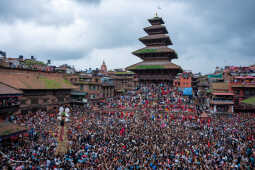 Gai Jatra Festival