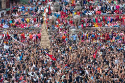 Gai Jatra Festival