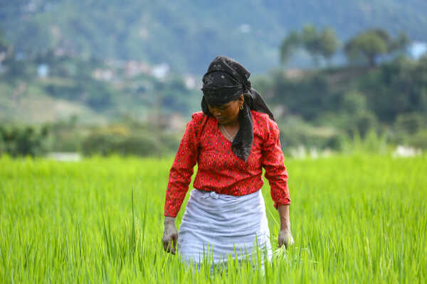 Green Terraces of Lalitpur – September 2, 2025