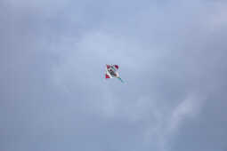 Colorful Kites Soar Over Chobhar Ahead of Dashain Festival