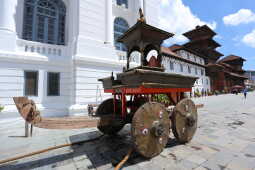 Ongoing Preparations for Indra Jatra Festival, 3 September 2025