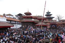 Indra Jatra festival began with the erection of the Lingo today, 3 September 2025