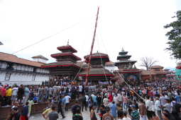 Indra Jatra festival began with the erection of the Lingo today, 3 September 2025