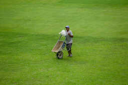 Tribhuvan University Cricket Ground in Kathmandu Undergoes Major Renovation