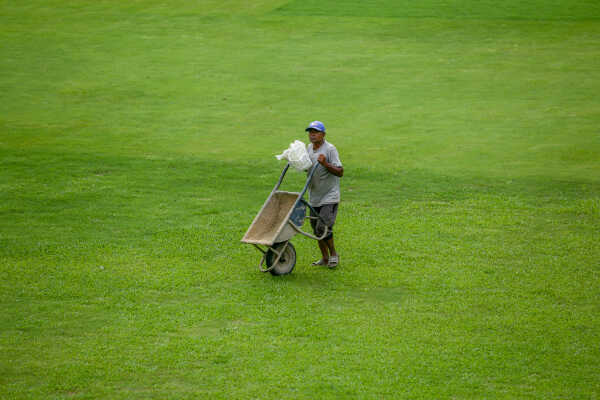 Tribhuvan University Cricket Ground in Kathmandu Undergoes Major Renovation