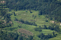 Waterfalls and Rice Fields Along Araniko Highway, Sindhupalchok, Nepal