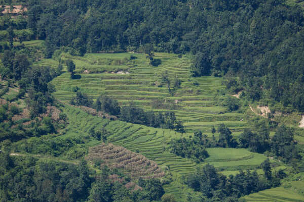 Waterfalls and Rice Fields Along Araniko Highway, Sindhupalchok, Nepal