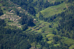 Waterfalls and Rice Fields Along Araniko Highway, Sindhupalchok, Nepal