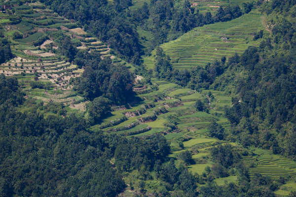 Waterfalls and Rice Fields Along Araniko Highway, Sindhupalchok, Nepal
