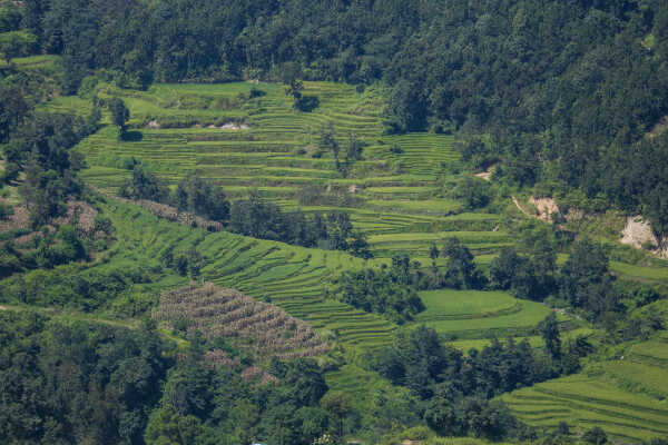 Waterfalls and Rice Fields Along Araniko Highway, Sindhupalchok, Nepal