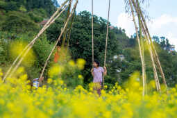 Dashain Festival 2025